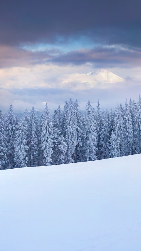 The most beautiful winter in the works of famous writers preview