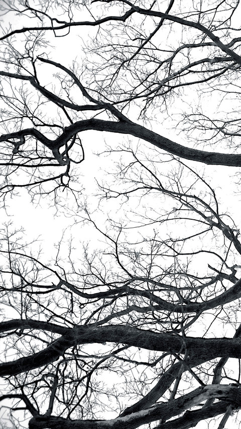 Black and White Photography Art preview
