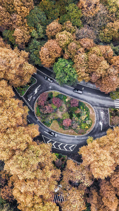 Enhanced aerial depth of field 3 preview