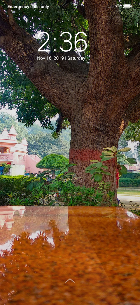 Tree Reflection_DWM3 preview