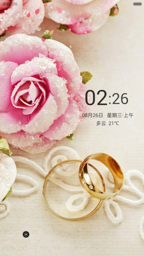 心动一刻（花瓣动态效果+全图标） preview