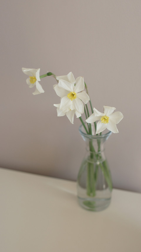 Bouquet of white daffodils preview