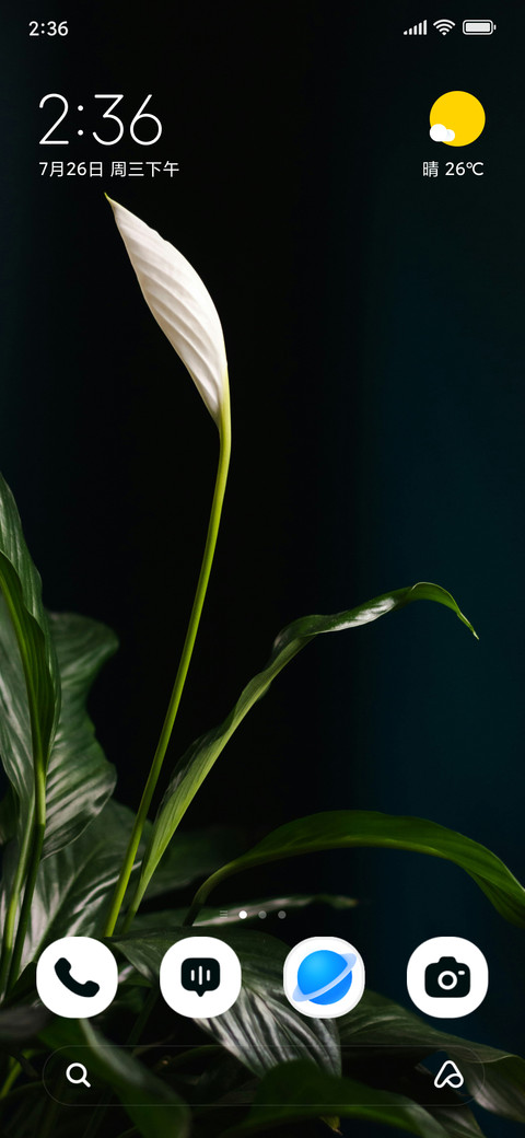 Ivory Blossom preview