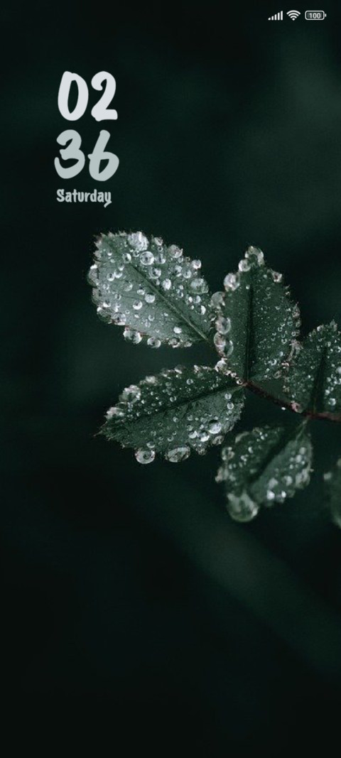 Leaf Line preview