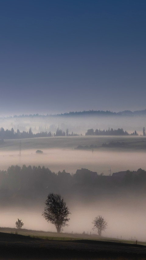 Landscape preview