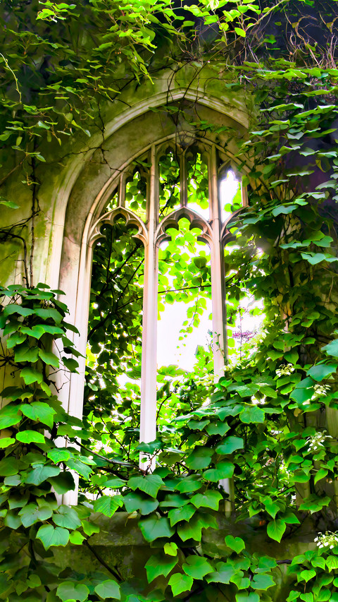Magnificent windows preview