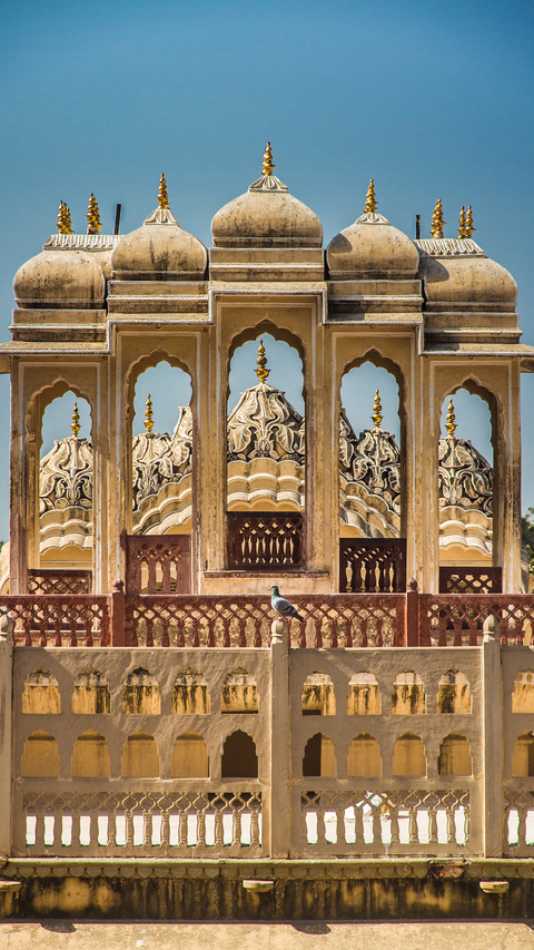 India-Domes preview