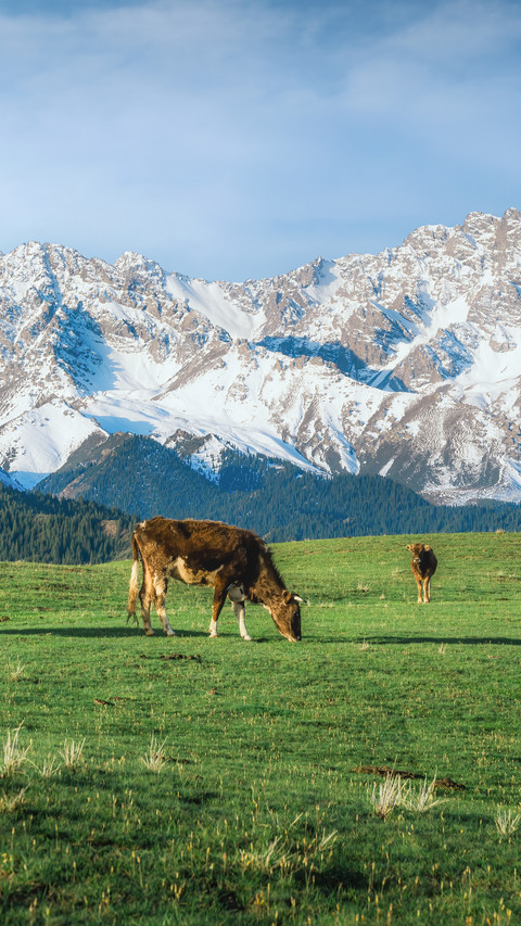 Travel to xinjiang with the wedding preview