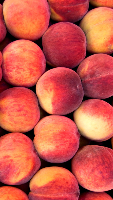 fruit preview