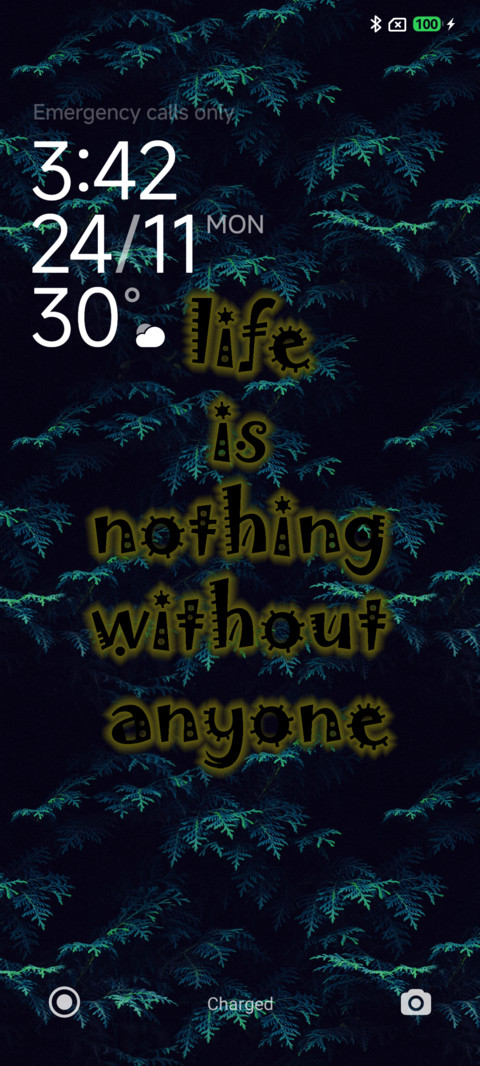 LIFE preview