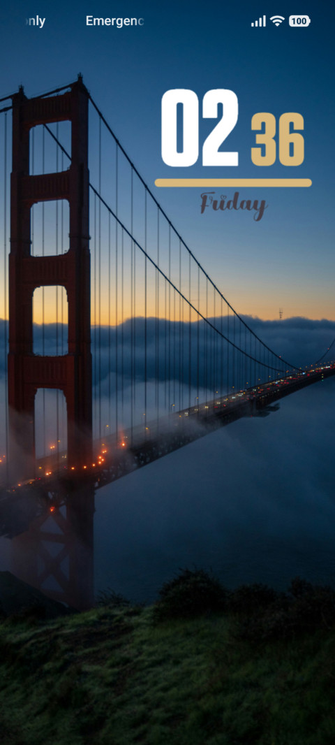 Bridge preview