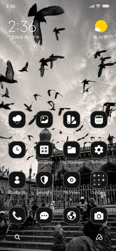 Monochrome preview