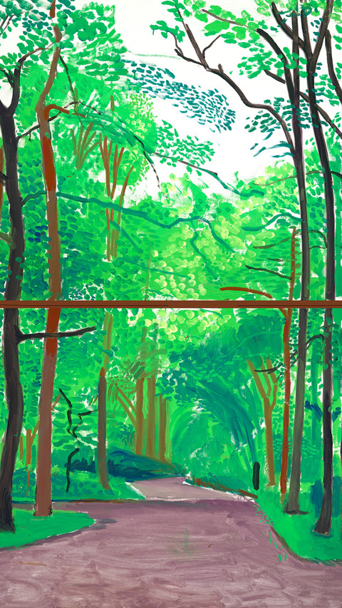 大卫·霍克尼 preview