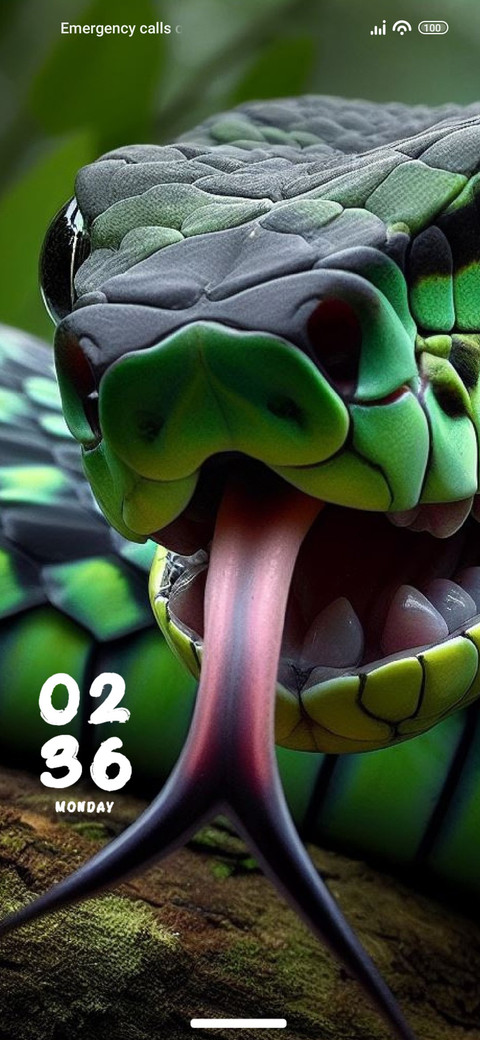 Reptile preview