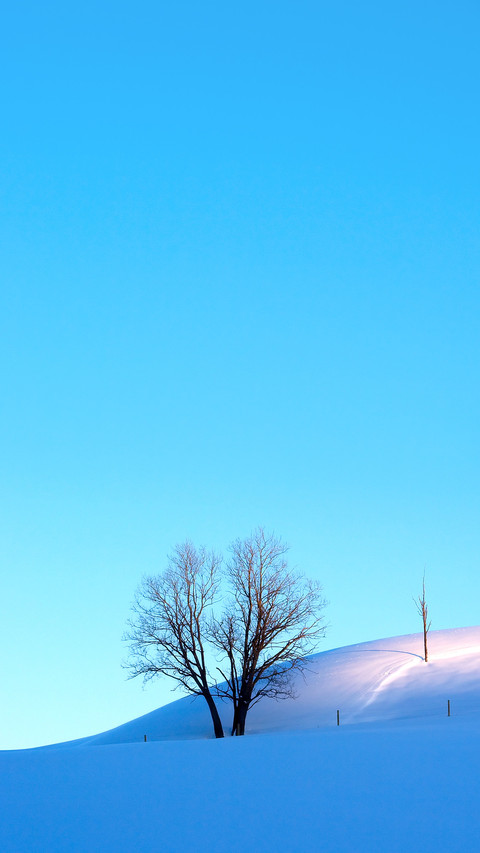Crisp morning winter landscape preview