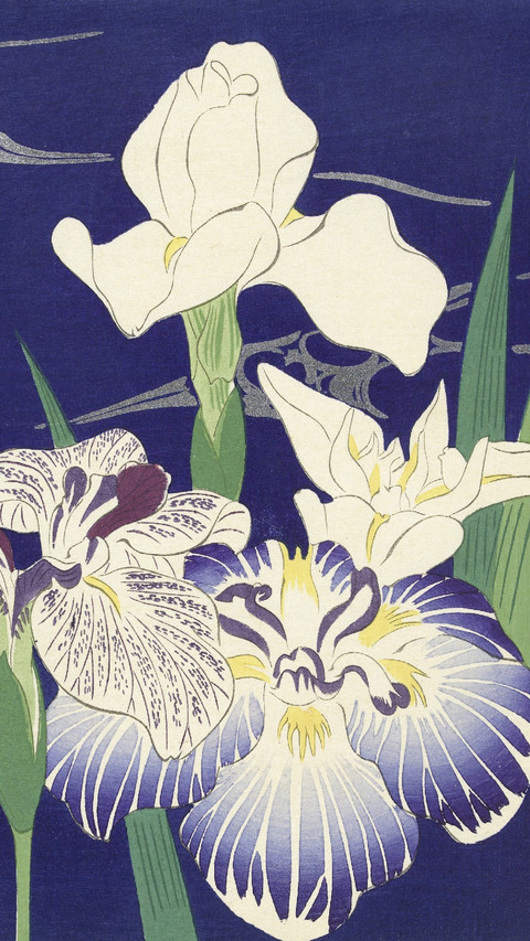 日本版画家小原古邨 preview