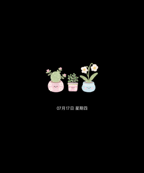 种最好的花 preview