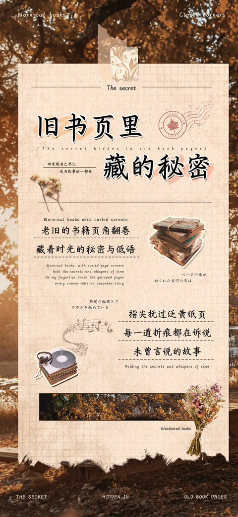 旧书页里藏的秘密 preview