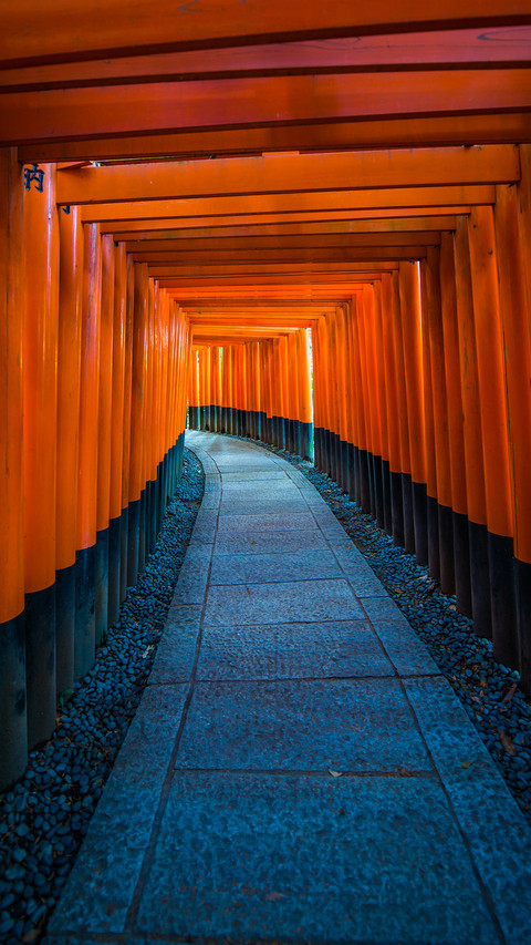 Fushimi inari shrine in kyoto japan preview