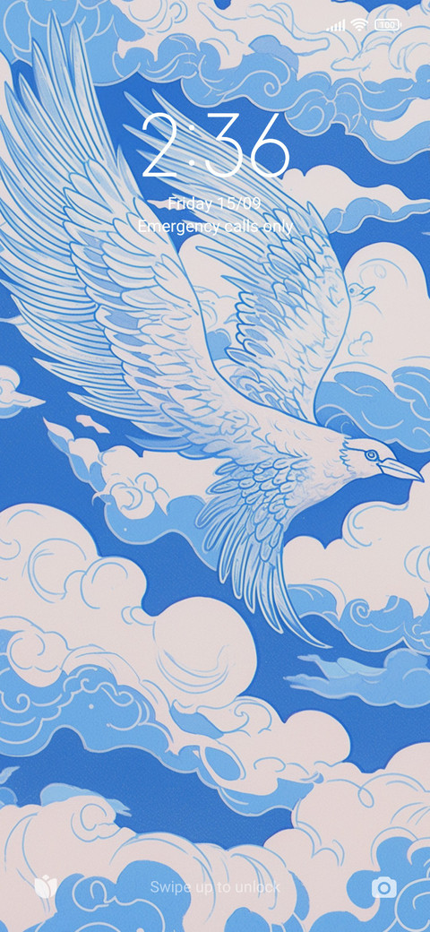 pigeons preview
