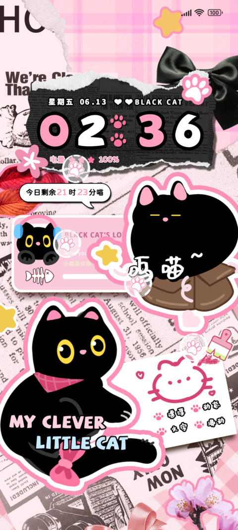 旋转小猫芜湖起飞 preview
