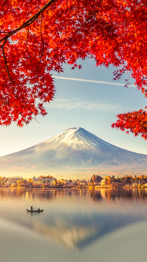 Colorful Autumn Season and Mountain Fuji preview