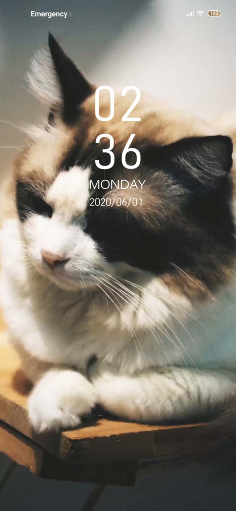 Puss preview
