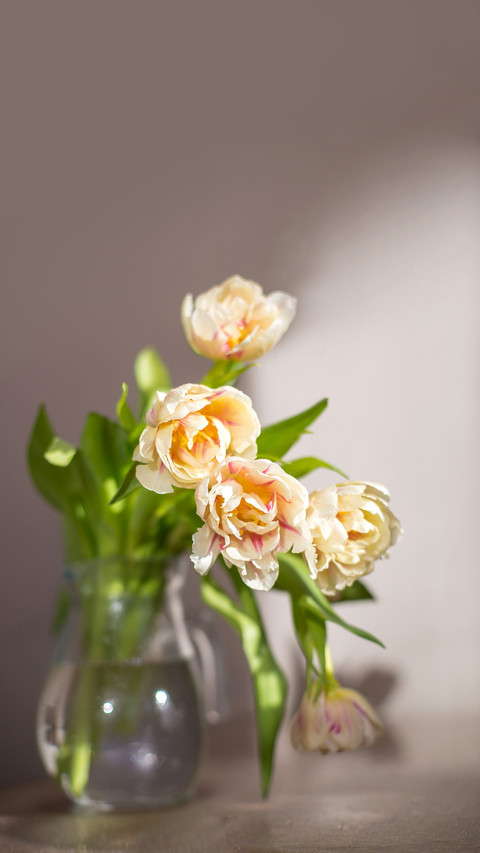 Bouquet of tulips in glass vase under the table preview
