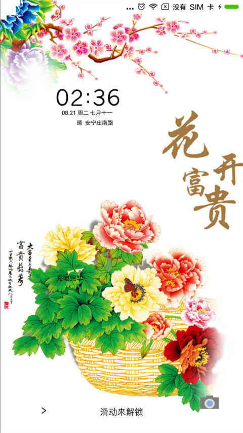 花开富贵 preview