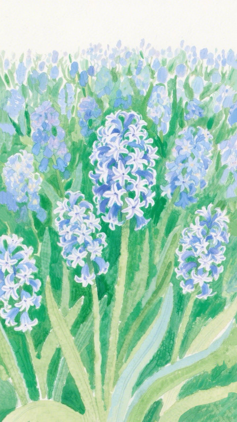 一阵芬芳拂过 preview