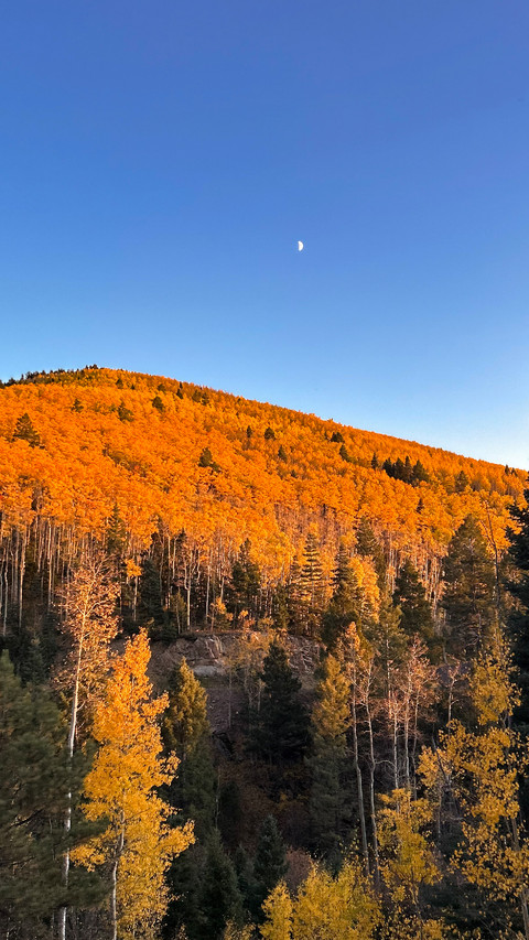 The autumn charm paints all the peaks preview