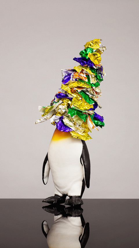 International-Penguin preview
