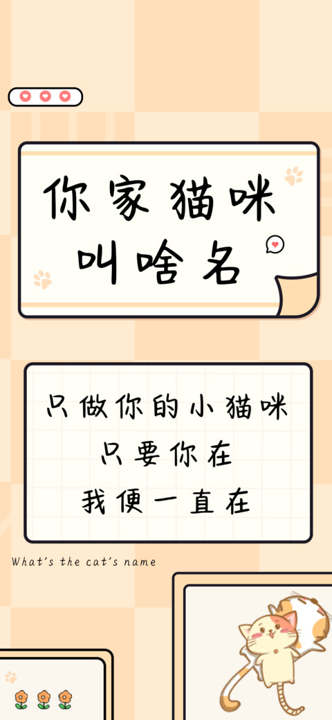 你家猫咪叫啥名 preview