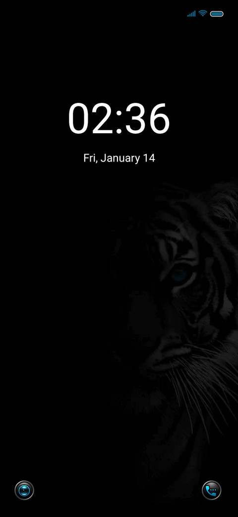 Blue Tiger preview
