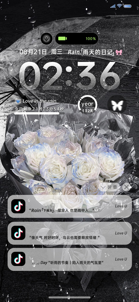 雨天玫瑰氛围感 preview