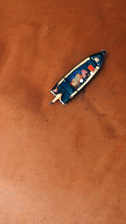 Bird's eye View (12) preview