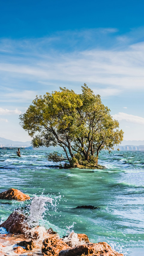 Dont miss the place around erhai lake preview