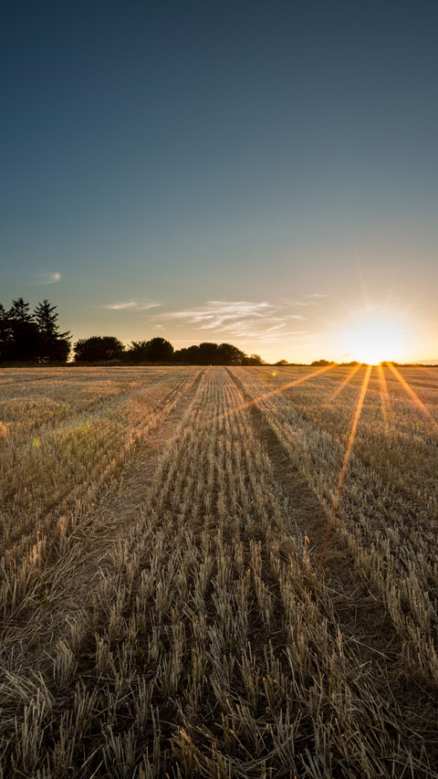 Sunset scenery of farmland in Aberdeenshire, Scotland preview