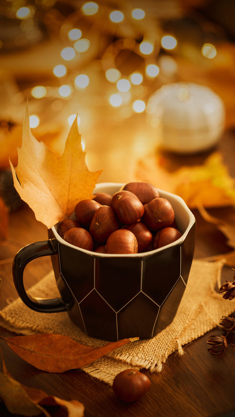 Teach you to pick good chestnuts 75 preview