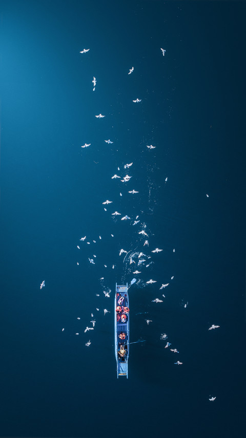 Salvage the starry river in the pure deep blue preview