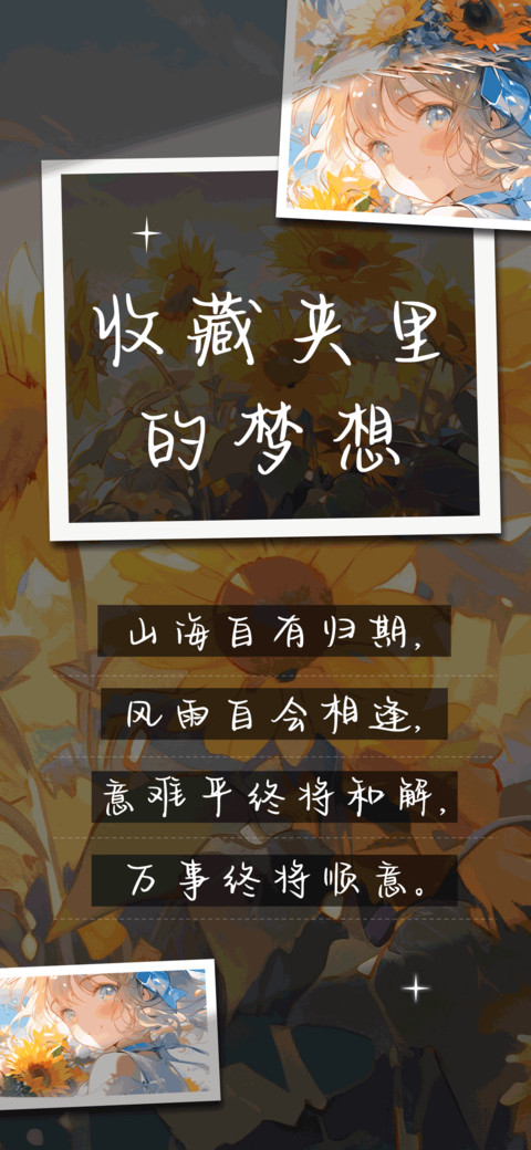 收藏夹里的梦想 preview