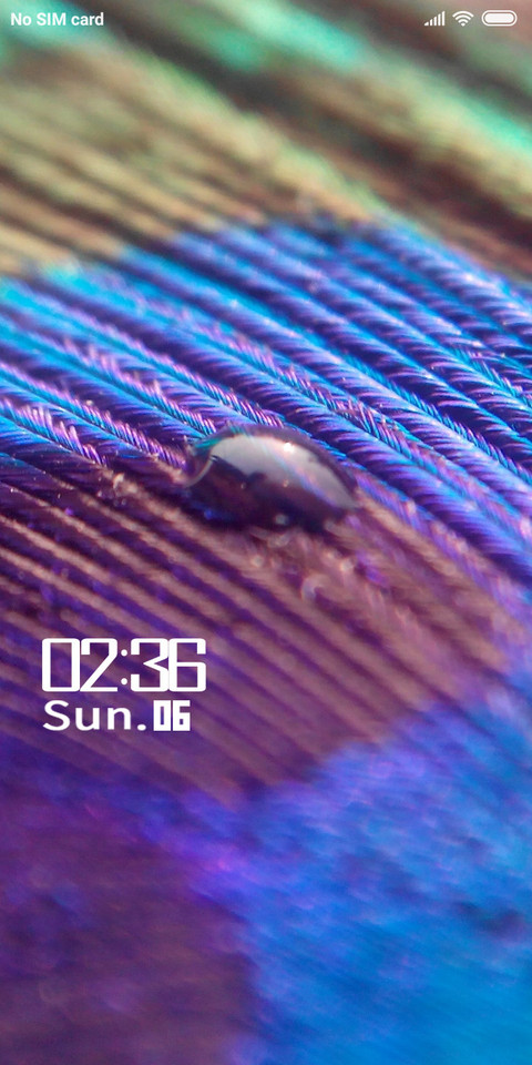 Peacock Feather_DWM2 preview
