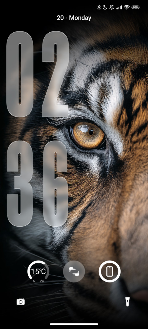Tiger Phone preview