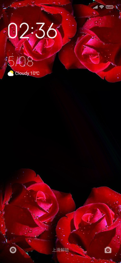 Rose Red preview