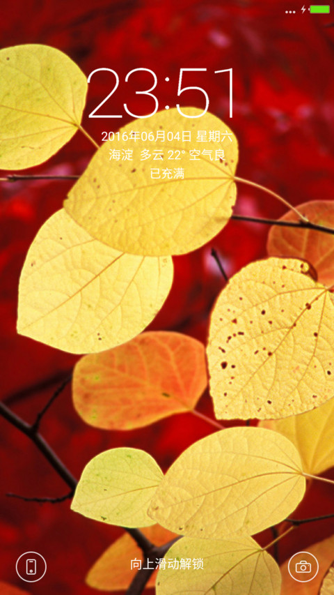最美树叶 preview