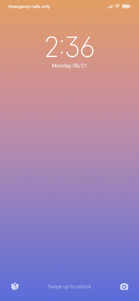 FLUX preview