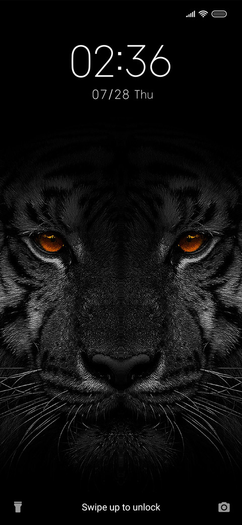 Black Tiger preview