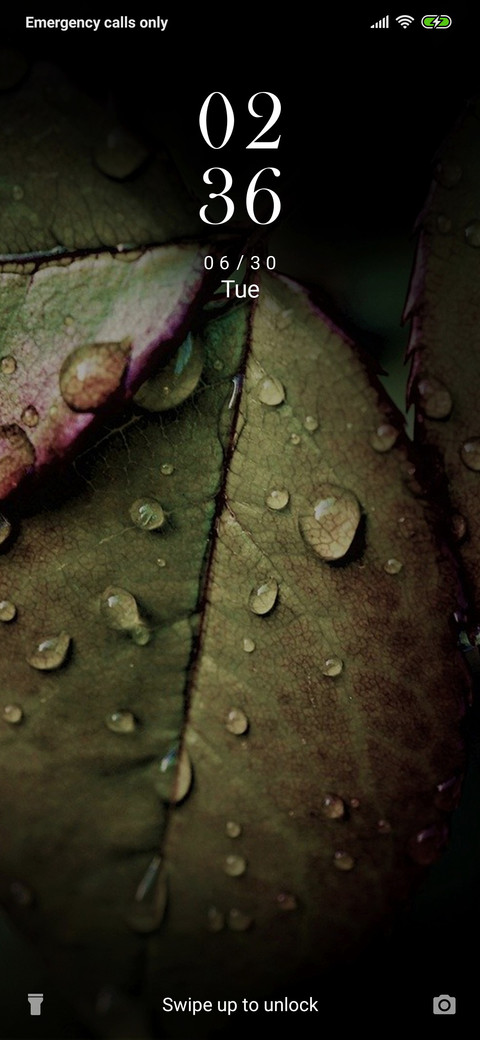 Rainy Leaves_3MDS preview
