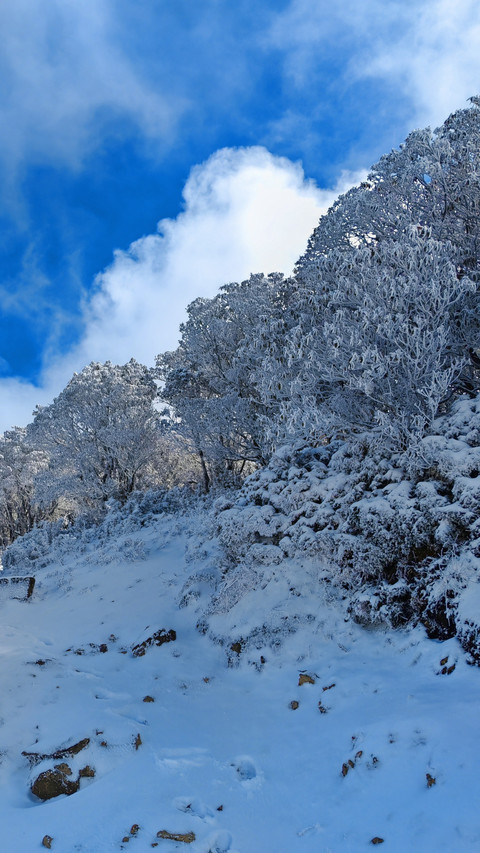 The snowy ridge is vast, desolate, and silent. preview
