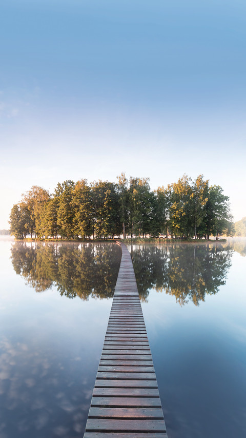 Old Wooden Bridge in Park preview